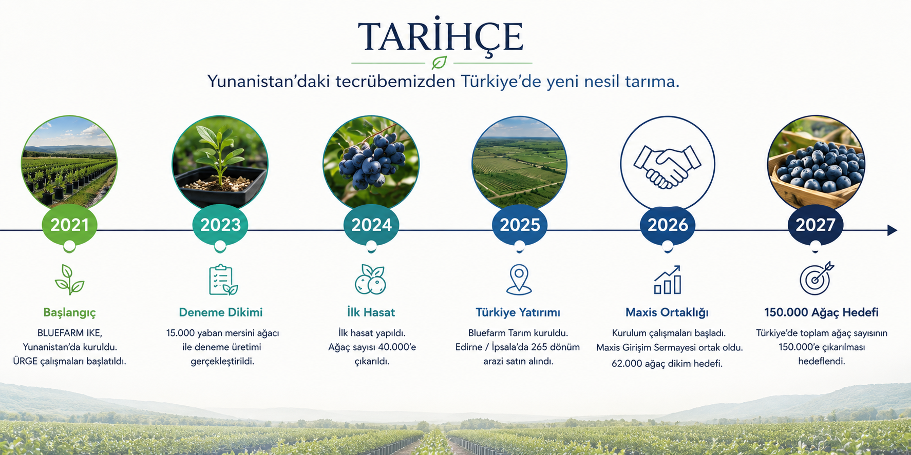 Bluefarm Tarihçe