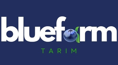 Bluefarm Tarım